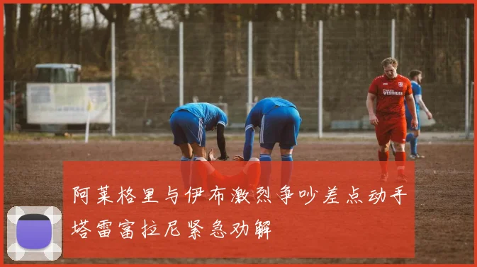 阿莱格里与伊布激烈争吵差点动手塔雷富拉尼紧急劝解